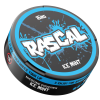 RASCAL Ice Mint (16mg)